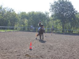 img_0239_web